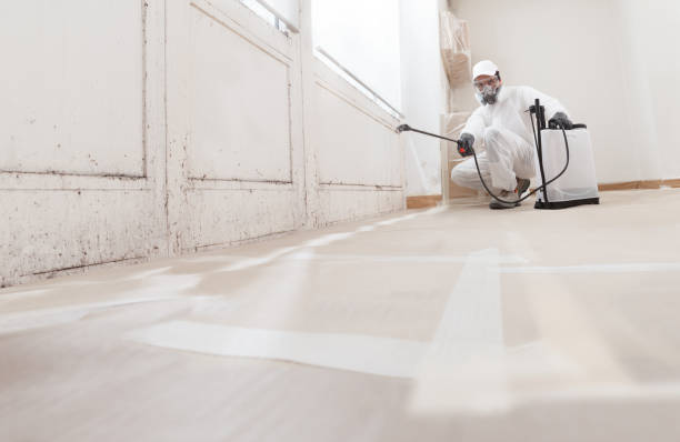 24/7 Emergency Attic Mold Remediation experts in Jackson, KY