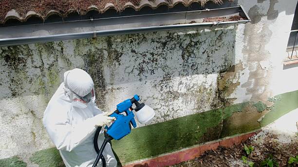 Top rated local Attic Mold Remediation specialists in Jackson, KY